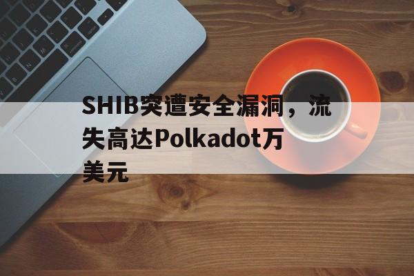 SHIB突遭安全漏洞，流失高达Polkadot万美元的简单介绍-开云入口